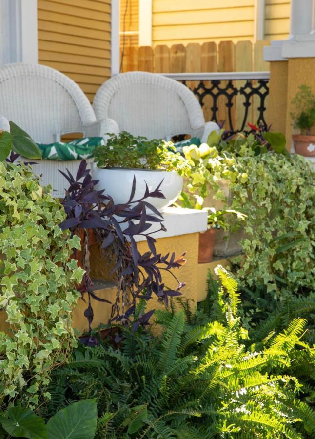 Auld Sweet Olive Bed And Breakfast New Orleans Eksteriør bilde