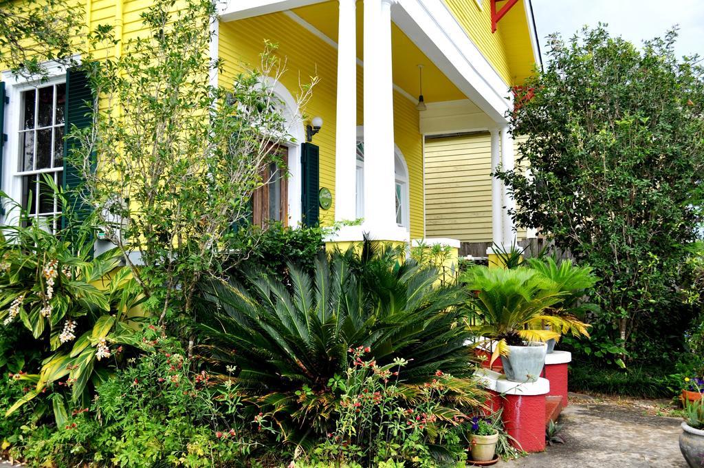 Auld Sweet Olive Bed And Breakfast New Orleans Eksteriør bilde