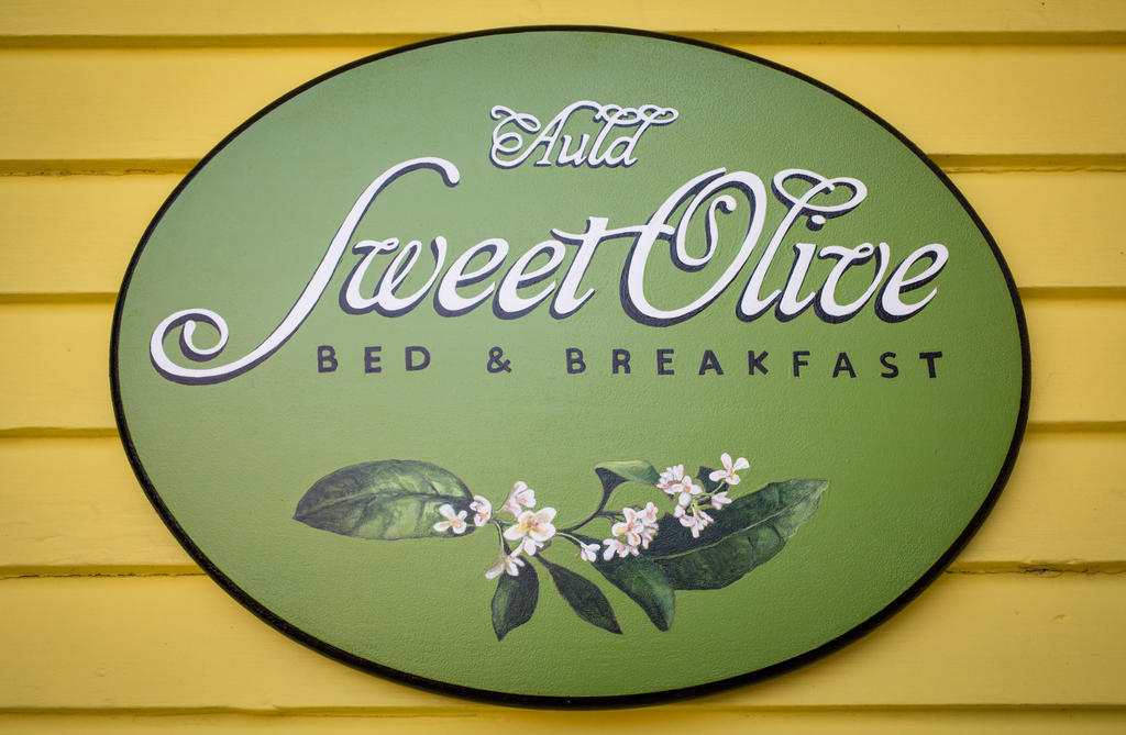 Auld Sweet Olive Bed And Breakfast New Orleans Eksteriør bilde